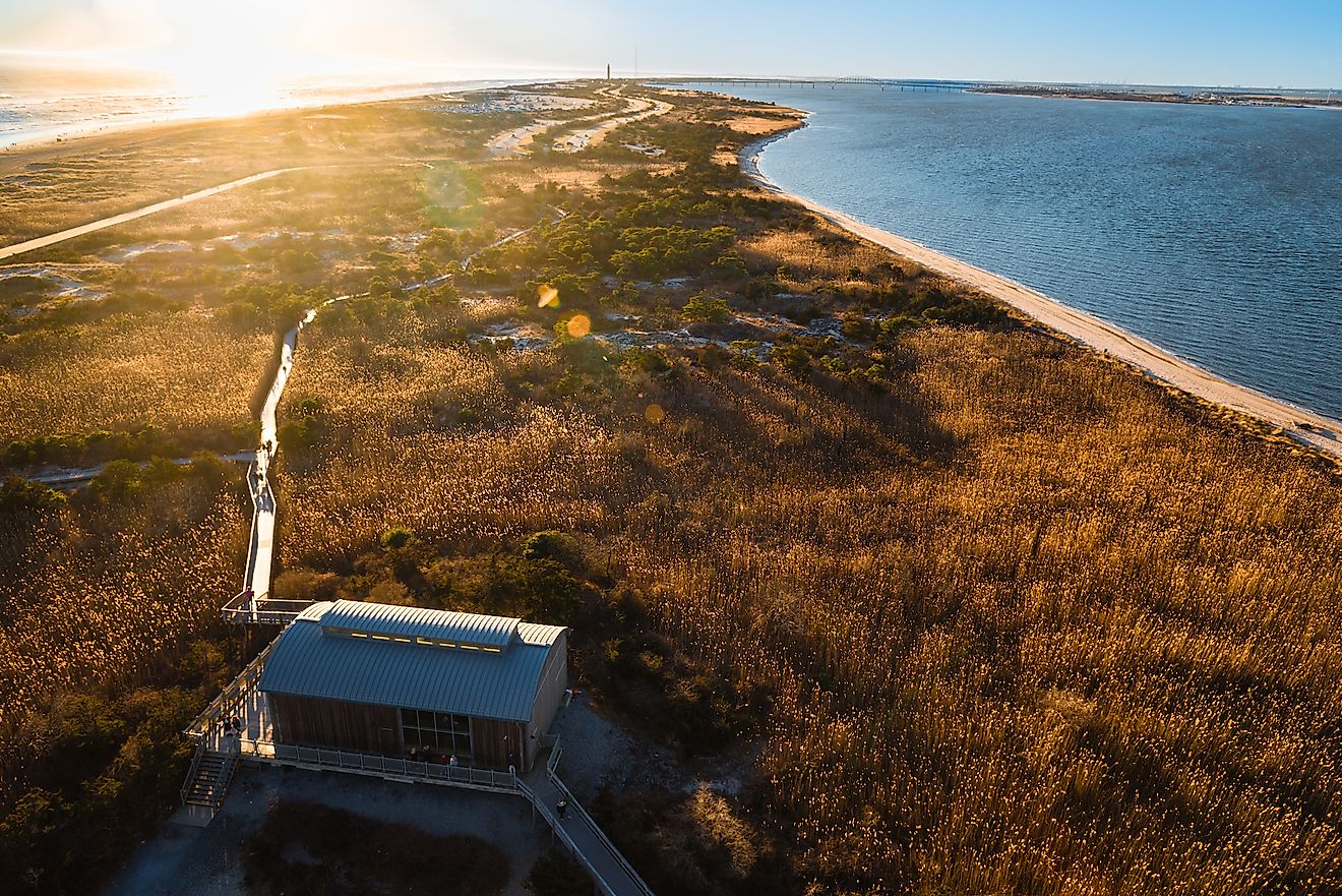 A gorgeous view of the Fire Island, New York, with a walking pier in the reeds.