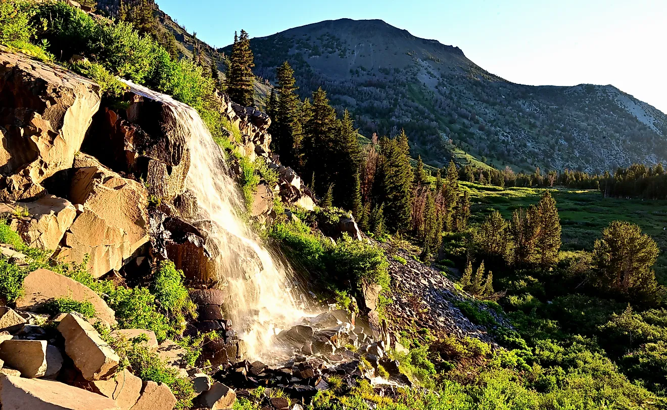 Early morning light strikes Galena Creek Falls along the Tahoe Rim Trail in the Humboldt-Toiyabe National Forest in Nevada. 