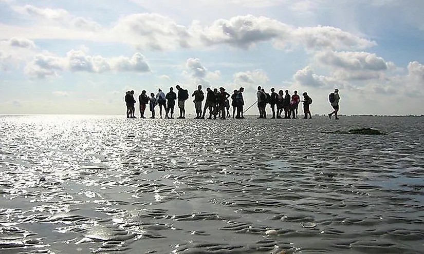 Group of mudflat hikers near Pieterburen, Netherlands