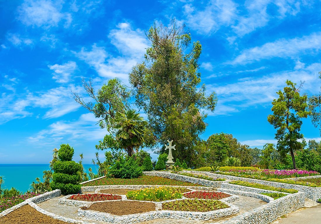 Batumi Botanical Garden. 