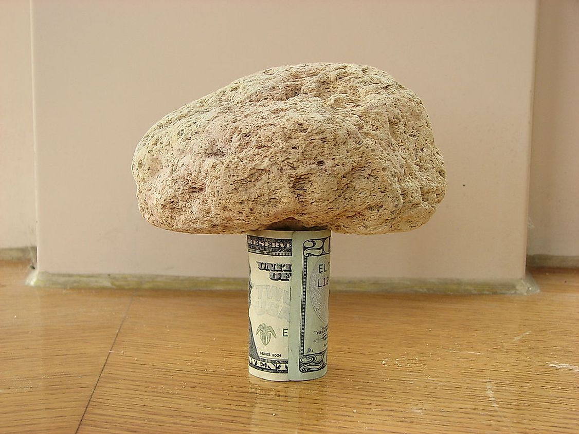 A 6-inch-wide pumice stone on a rolled-up US $20 bill, demonstrating the low density of pumice.