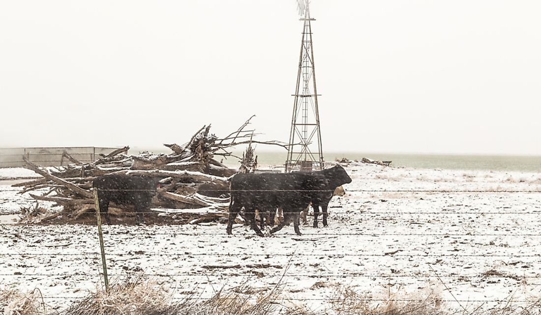 Snowflakes dust the ground in West Texas.