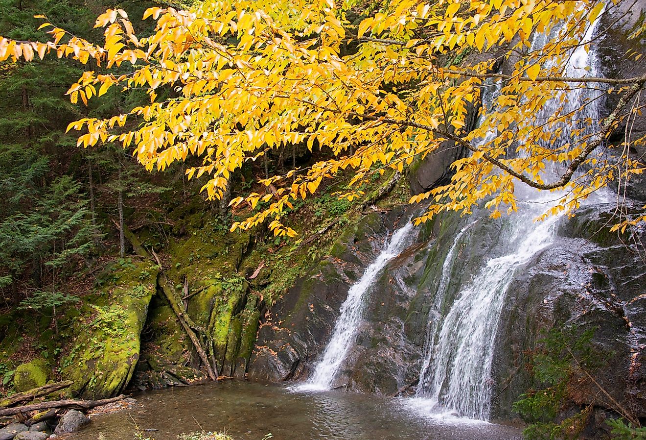 Fall foliage in Mad River Valley along the trail to Warren Falls, Vermont.