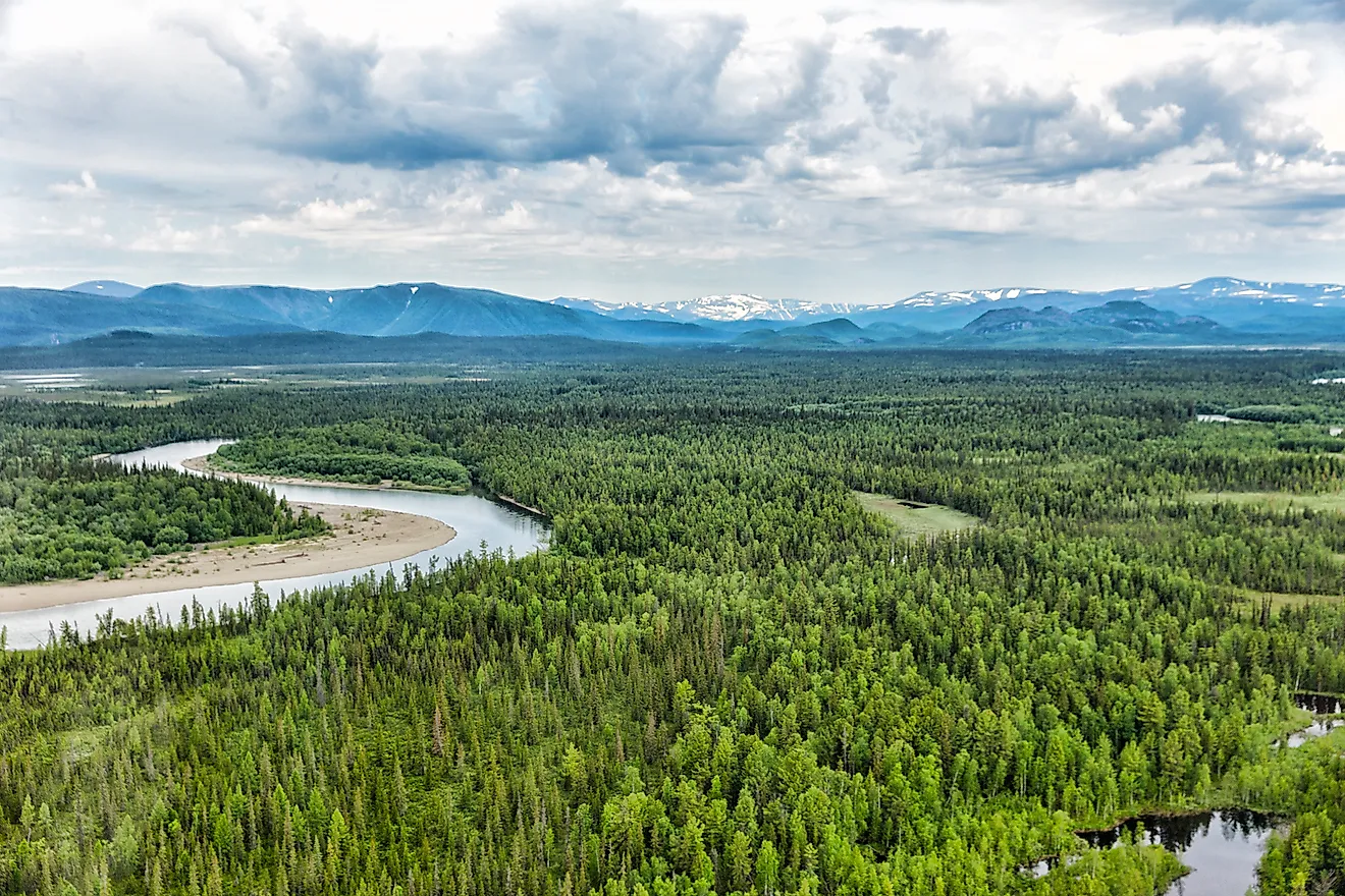 Taiga ecosystems in northern Europe.