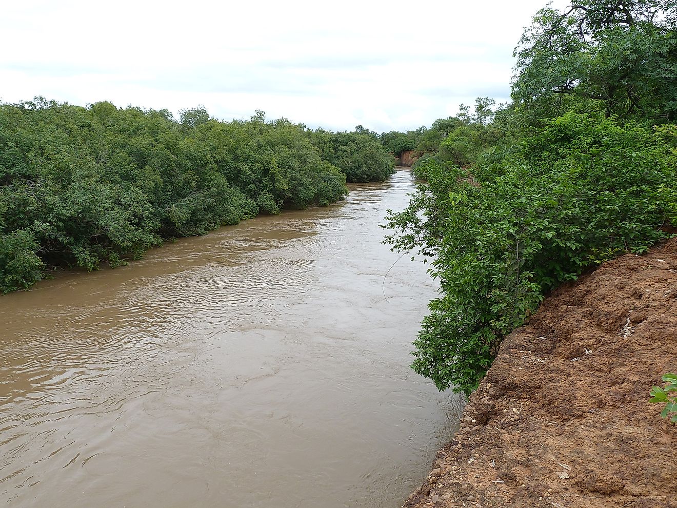 Faleme River with trees on either side of the banks. Image credit https://commons.wikimedia.org/wiki/File:Forested_island_in_the_Faleme_River.jpg