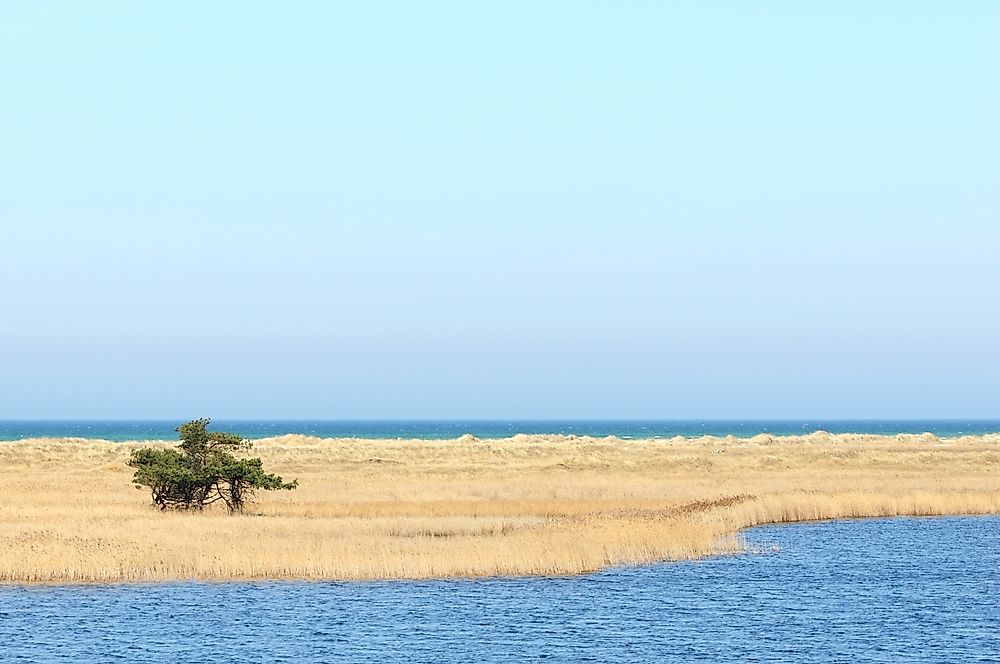 The beach Western Pomerania Lagoon Area National Park. 