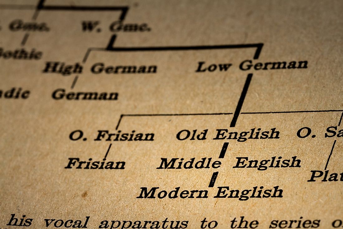 A graph showing part of the graph of Indo-European languages. Editorial credit: Benoit Daoust / Shutterstock.com.