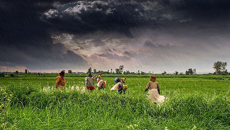 With its huge wealth of fertile lands, India is able to generate sufficient crops to feed its own population.