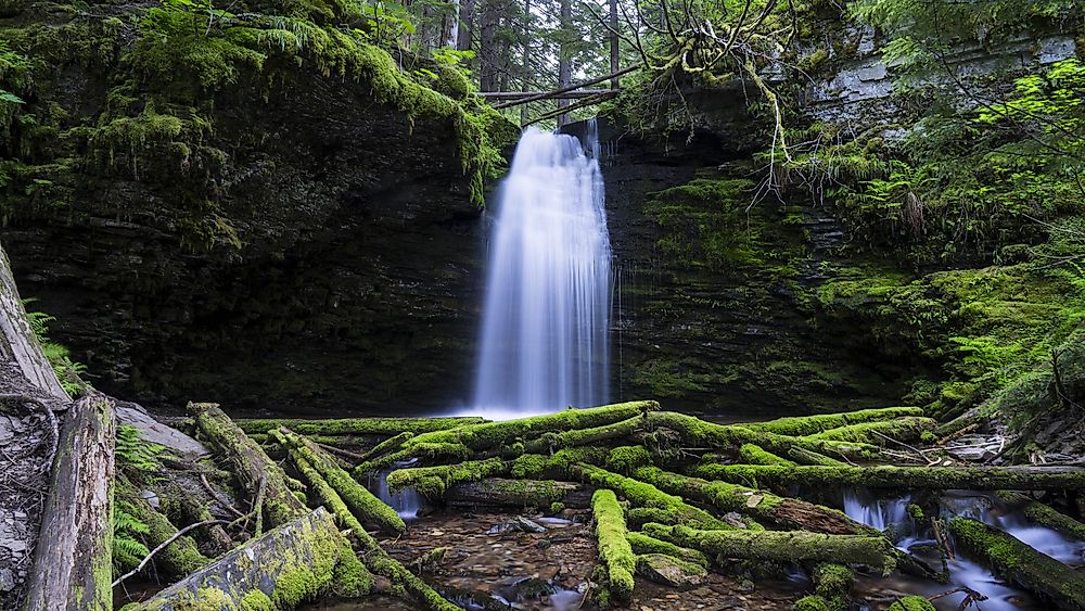 A waterfall in the national forest of the Idaho Panhandle. 