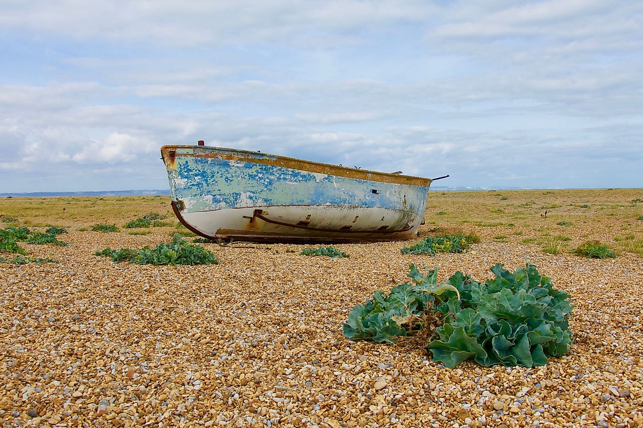 Abandoned fishing boat on a desert pebble beach with plants around in Dungeness, England. Editorial credit: Carina S / Shutterstock.com