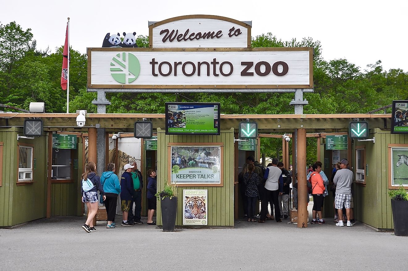 Visitors are lining up to get inside Toronto Zoo. Image credit: Lester Balajadia/Shutterstock.com
