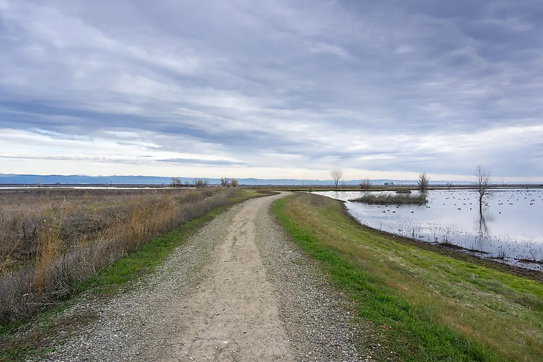 A natural levee in Sacramento National Wildlife Refuge in California. 