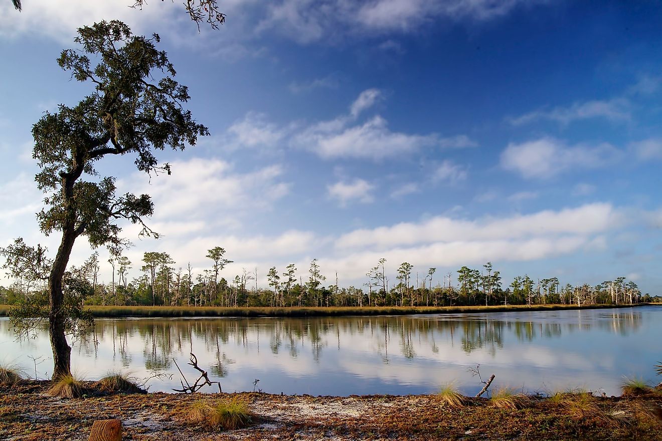 The beautiful Ochlockonee River in Ochlockonee River State Park, Florida. Editorial credit: Fsendek / Shutterstock.com