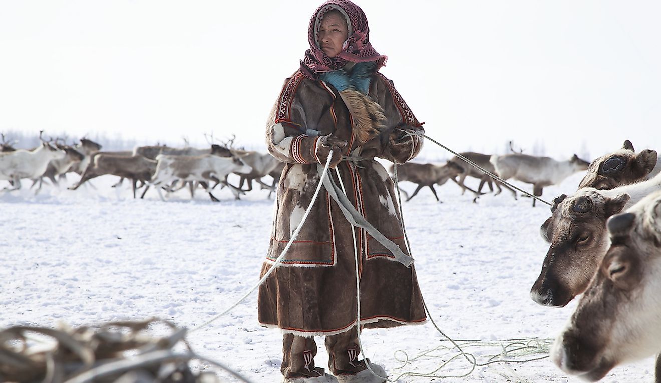 An Arctic woman reindeer herder of Russia. Image credit: Evgenii Mitroshin/Shutterstock.com