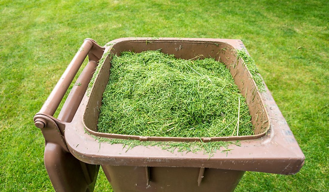 Grass clippings will be picked up by city workers and transferred to a composting site.