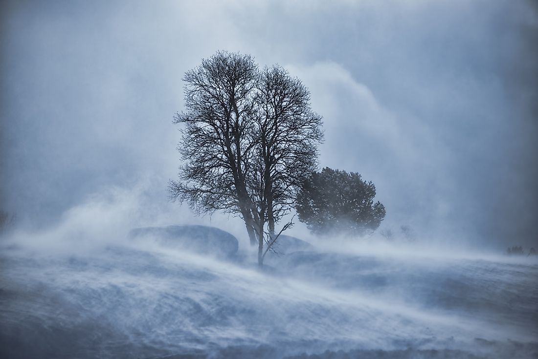 During a ground blizzard, white-out conditions are created by snow and ice lifted up from the ground.