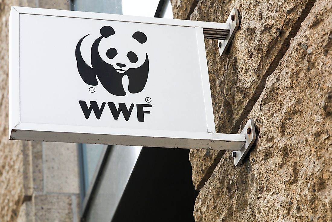 WWF regional office in Hamburg, Germany. Editorial credit: ricochet64 / Shutterstock.com