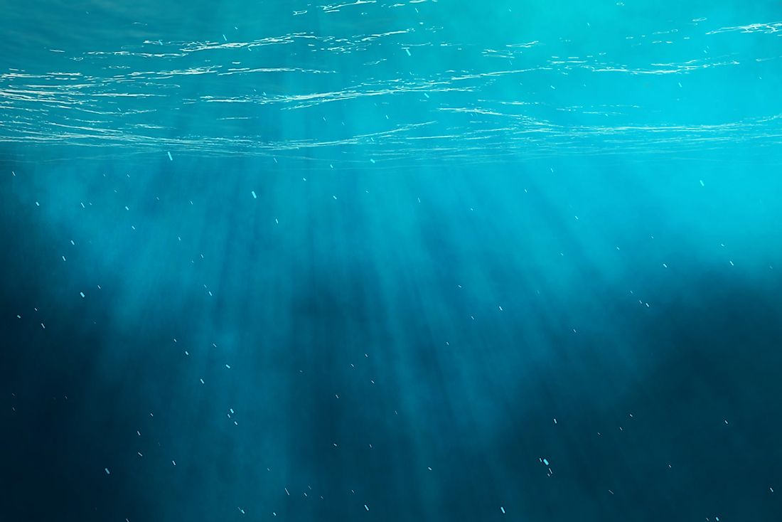 Humans know relatively little about the bottom of the sea. 