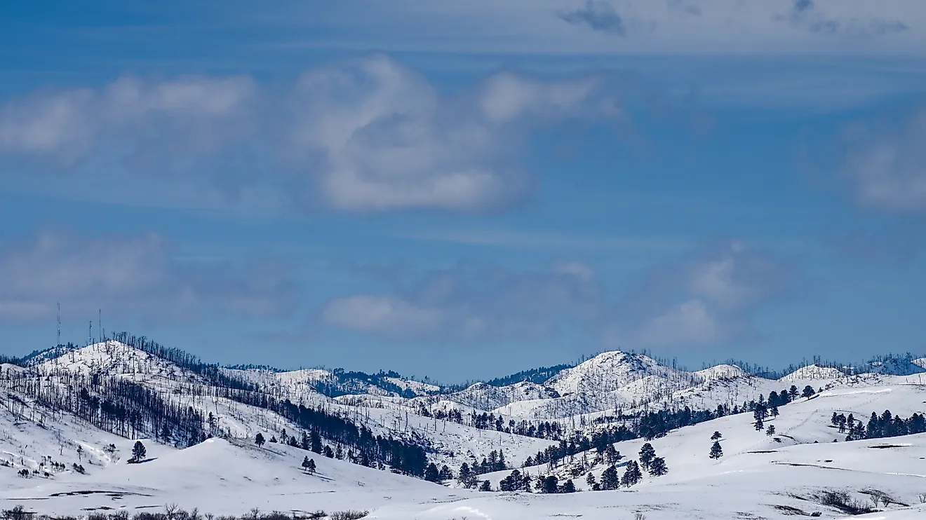 Black Hills in Custer State Park in Winter