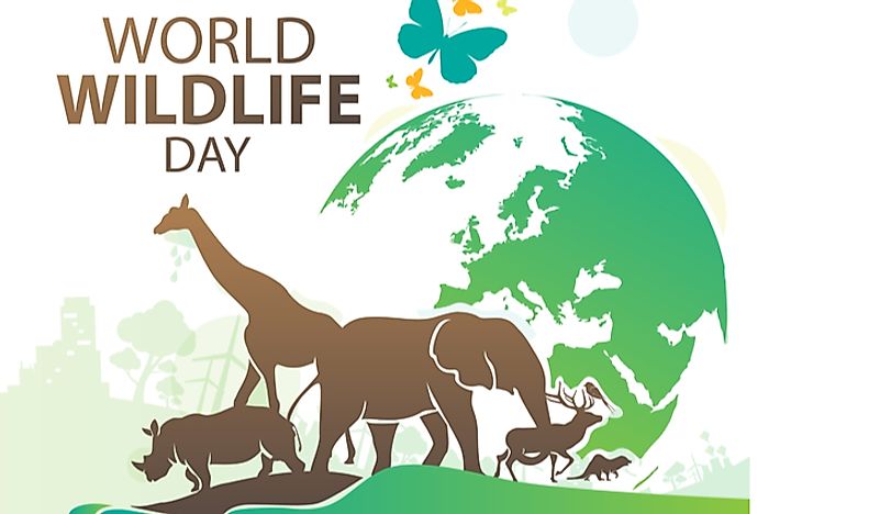 World Wildlife Day was celebrated on March 3rd. 