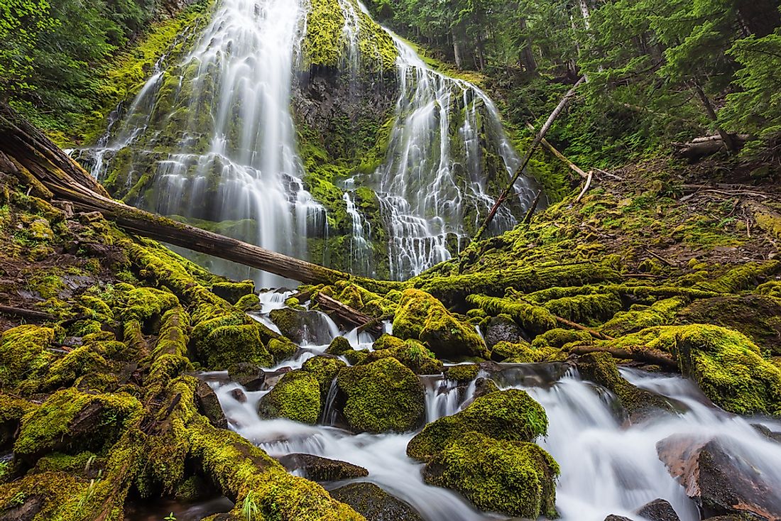 A waterfall in Willamette National Forest. 
