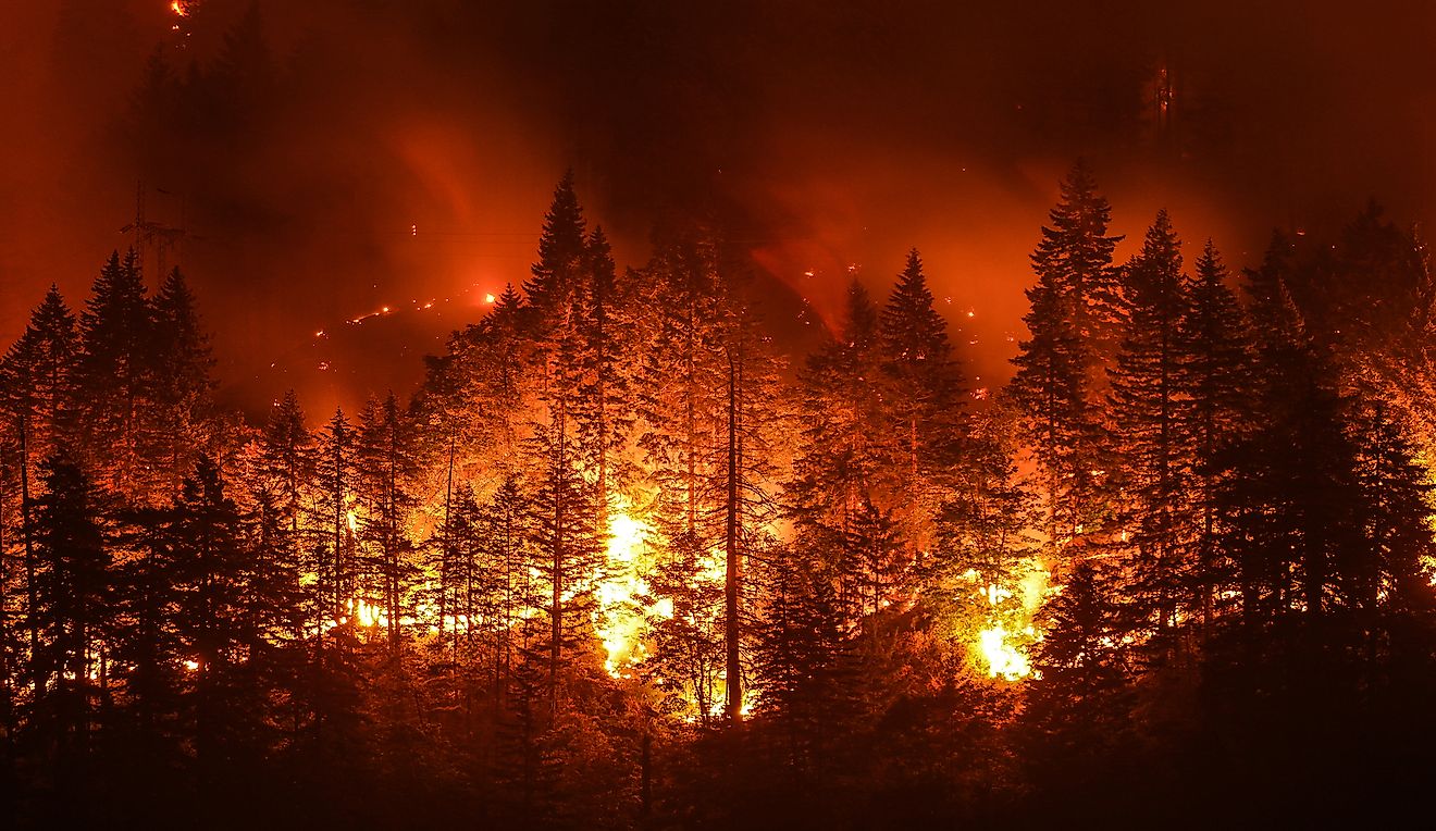 Eagle Creek Wildfire in Columbia River Gorge.
