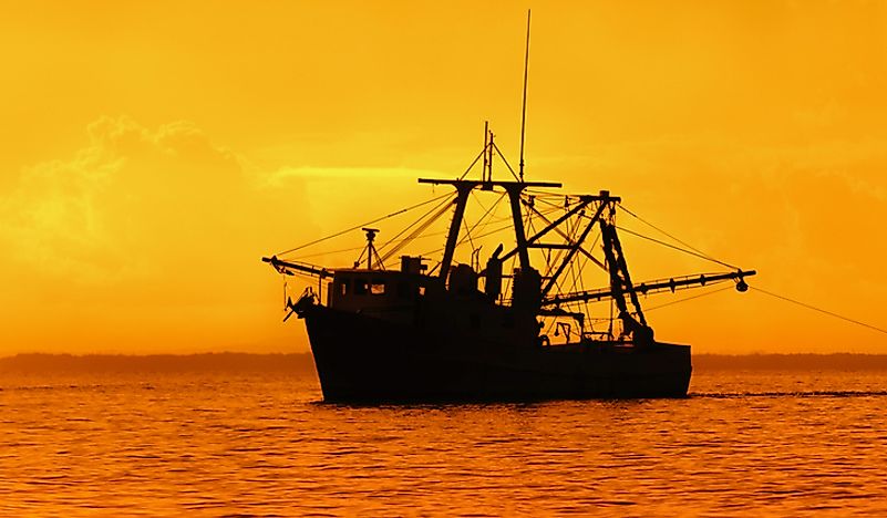 A fishing boat on the Gulf of Paria. 