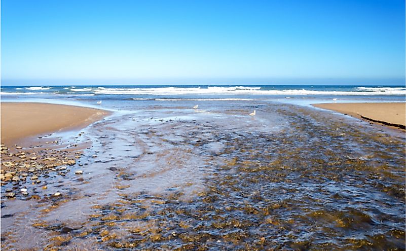 The D River flowing into the Pacific Ocean.