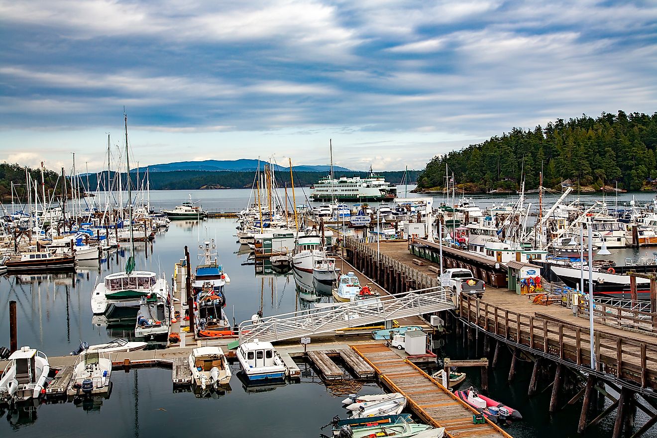 Friday Harbor, Washington. Editorial credit: Bob Pool / Shutterstock.com