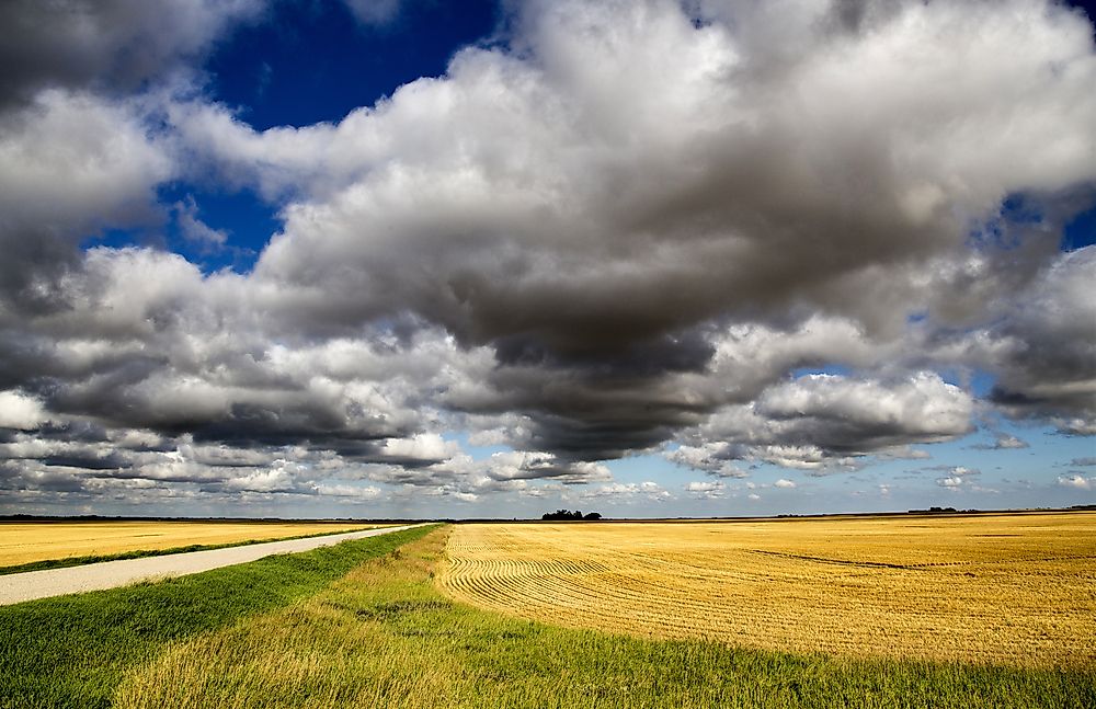 A classic scene from the Canadian prairie. 