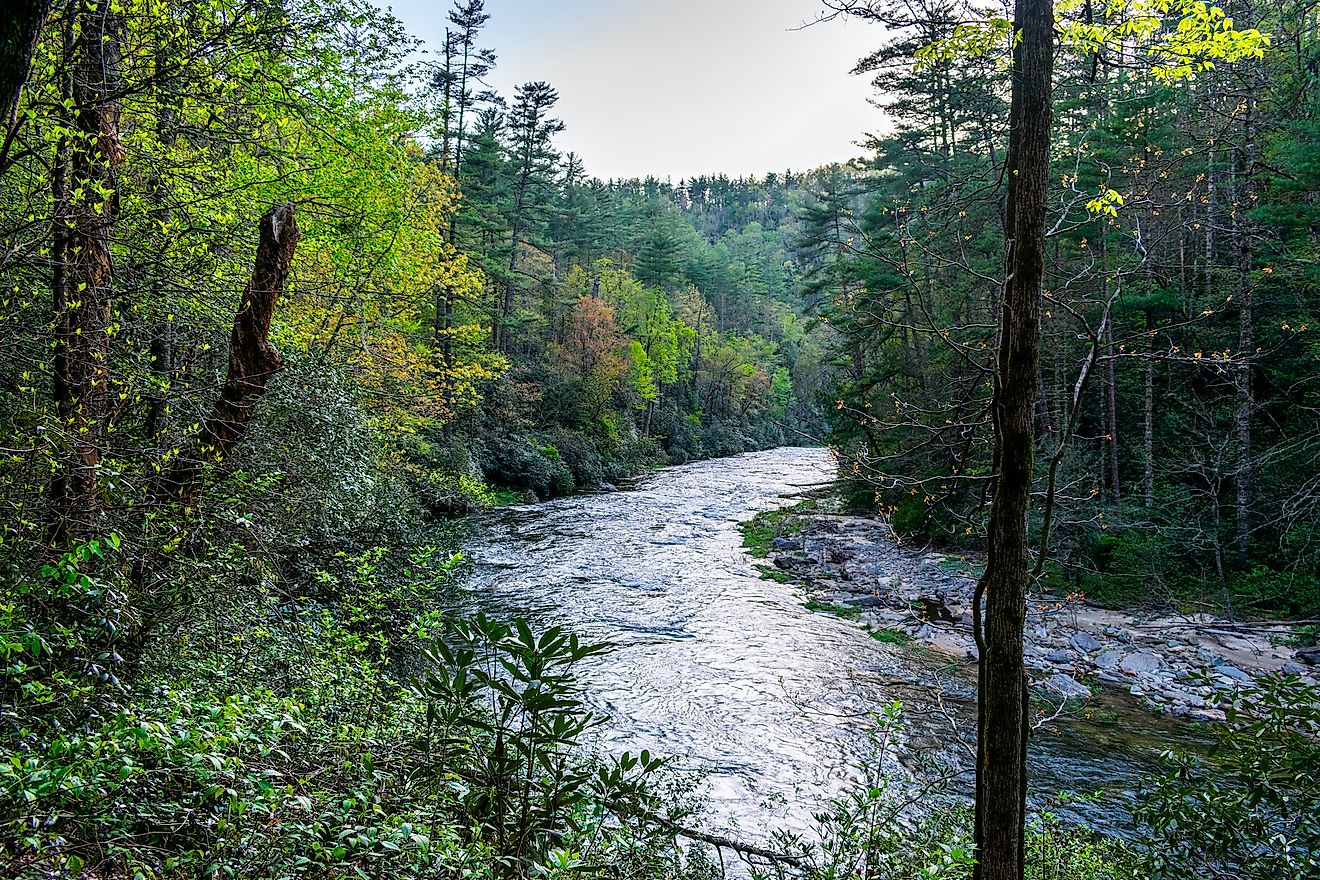 Chattooga River