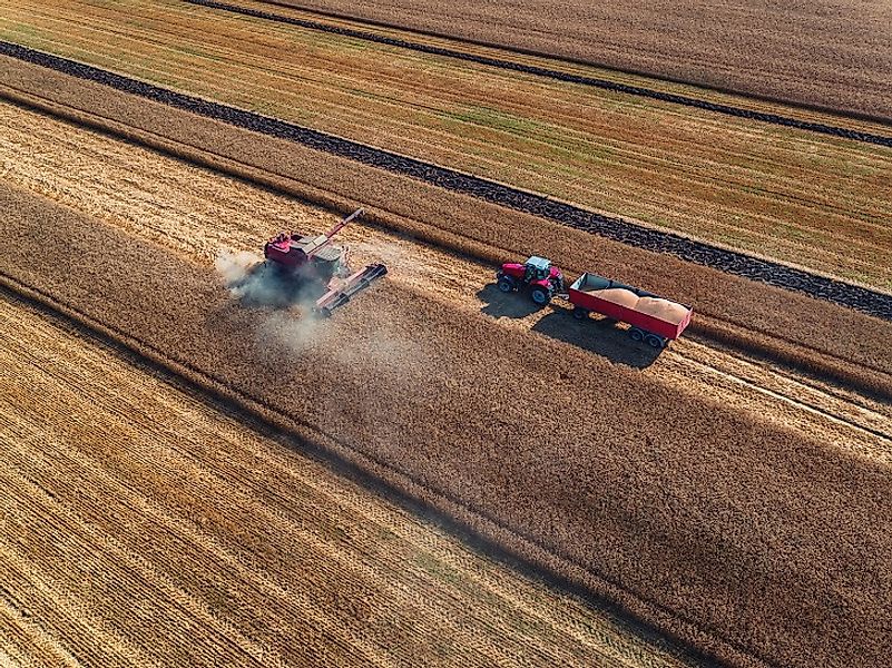 In minutes and hours, modern combines harvest grain that would have taken days and weeks to collect using traditional methods.