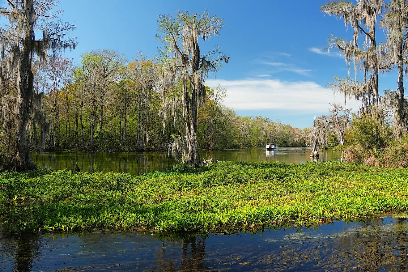 Boat on Wakulla Spring, Florida.