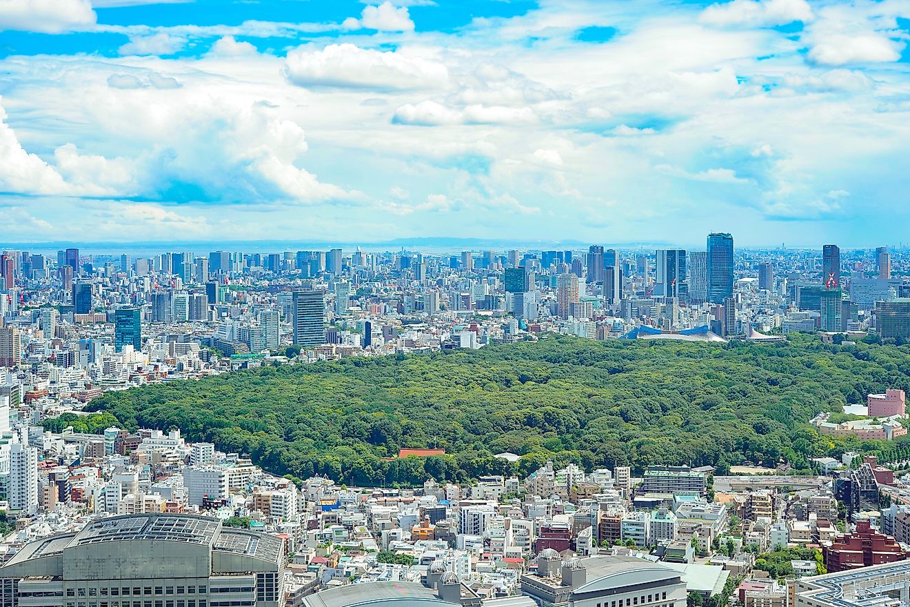 Yoyogi Park