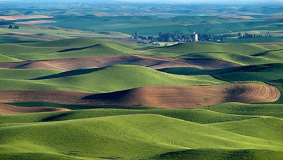 The presence of large amounts of loess, such as here in the Palouse Region of the U.S. state of Washington, allows for high levels of agricultural output.