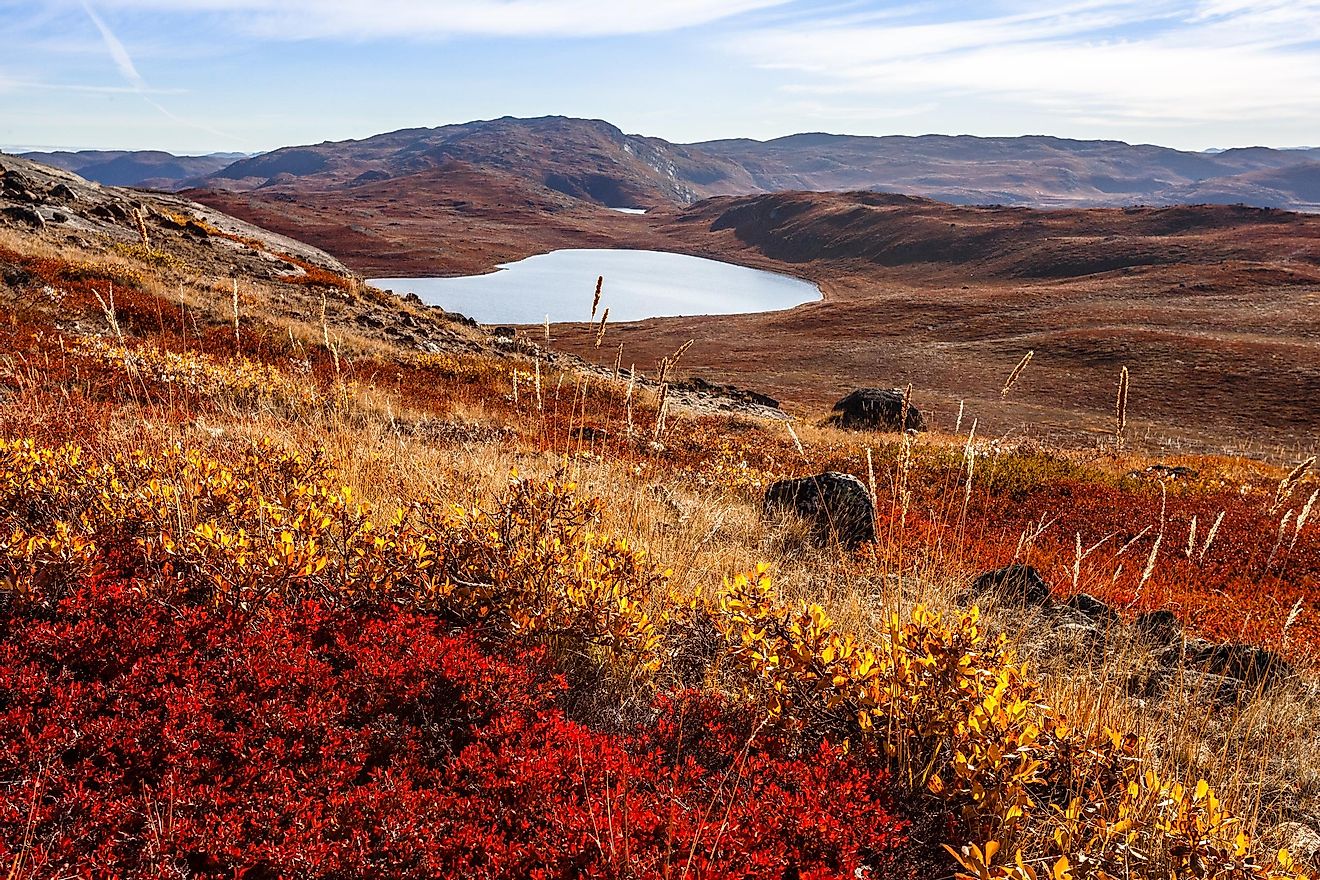 Autumn greenlandic orange tundra landscape with lakes and mountains in the background, Kangerlussuaq, Greenland