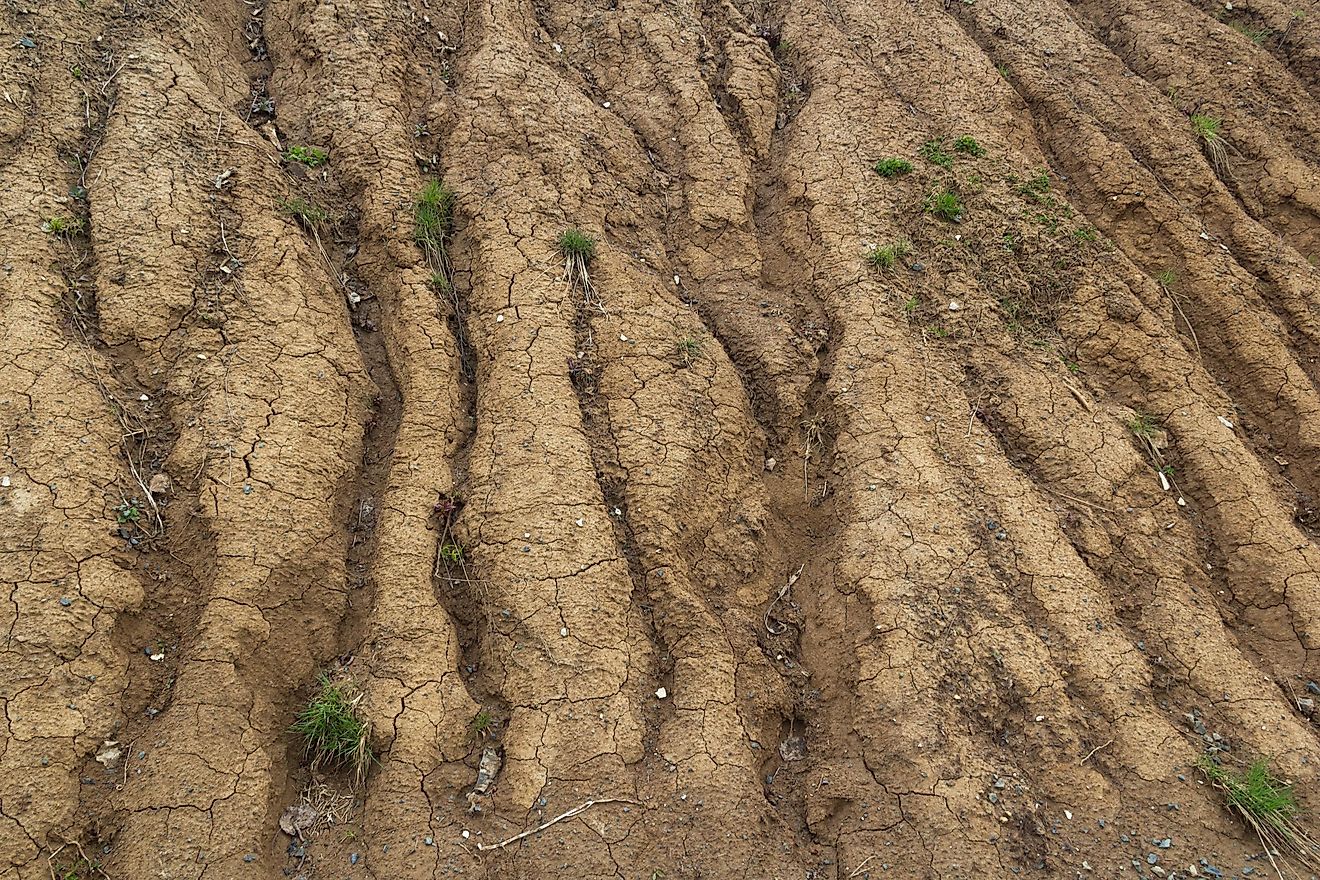 Traces of water in clay.