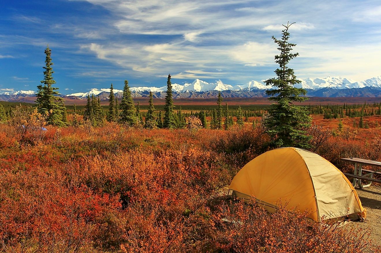 Camping in Denali National park, facing Mt Mckinley. Image credit: Juancat