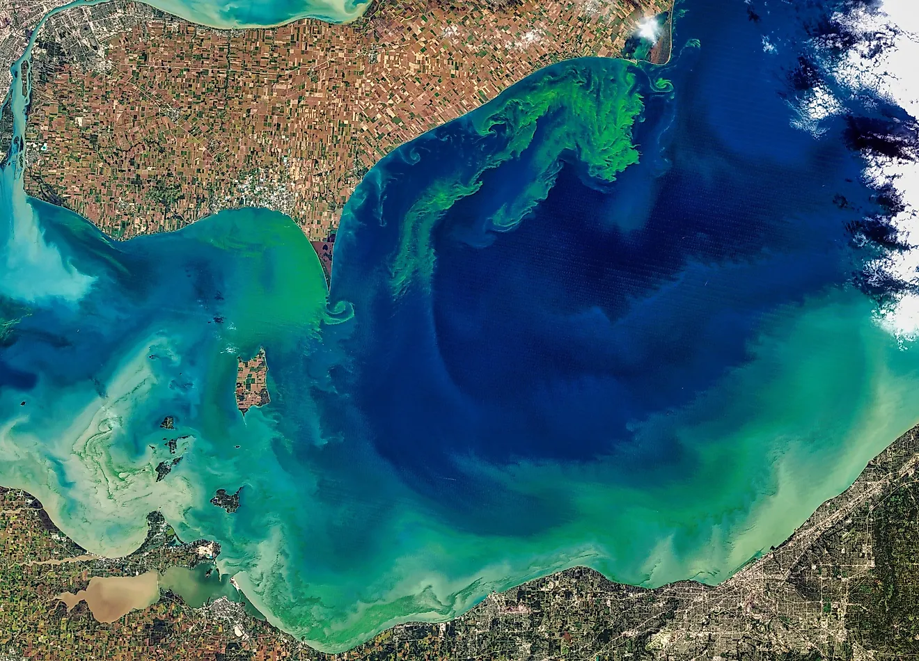 Algae Bloom in Lake Erie.