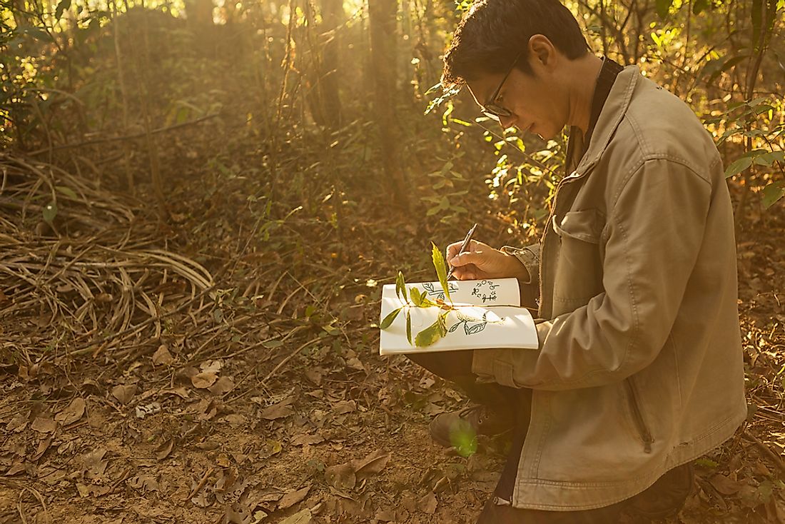 A botanist is a scientist who focuses on plants.