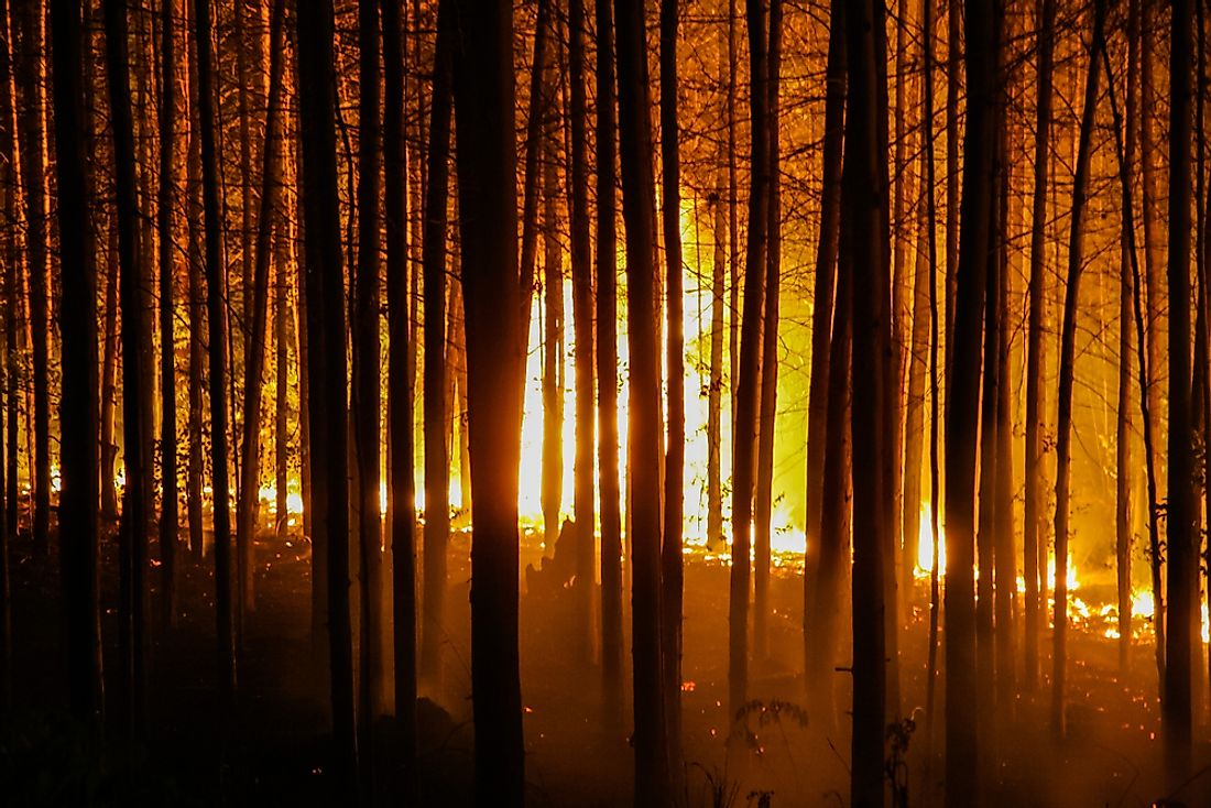 Fires in the Amazon are directly related to deforestation. Editorial credit: Jair Ferreira Belafacce / Shutterstock.com.