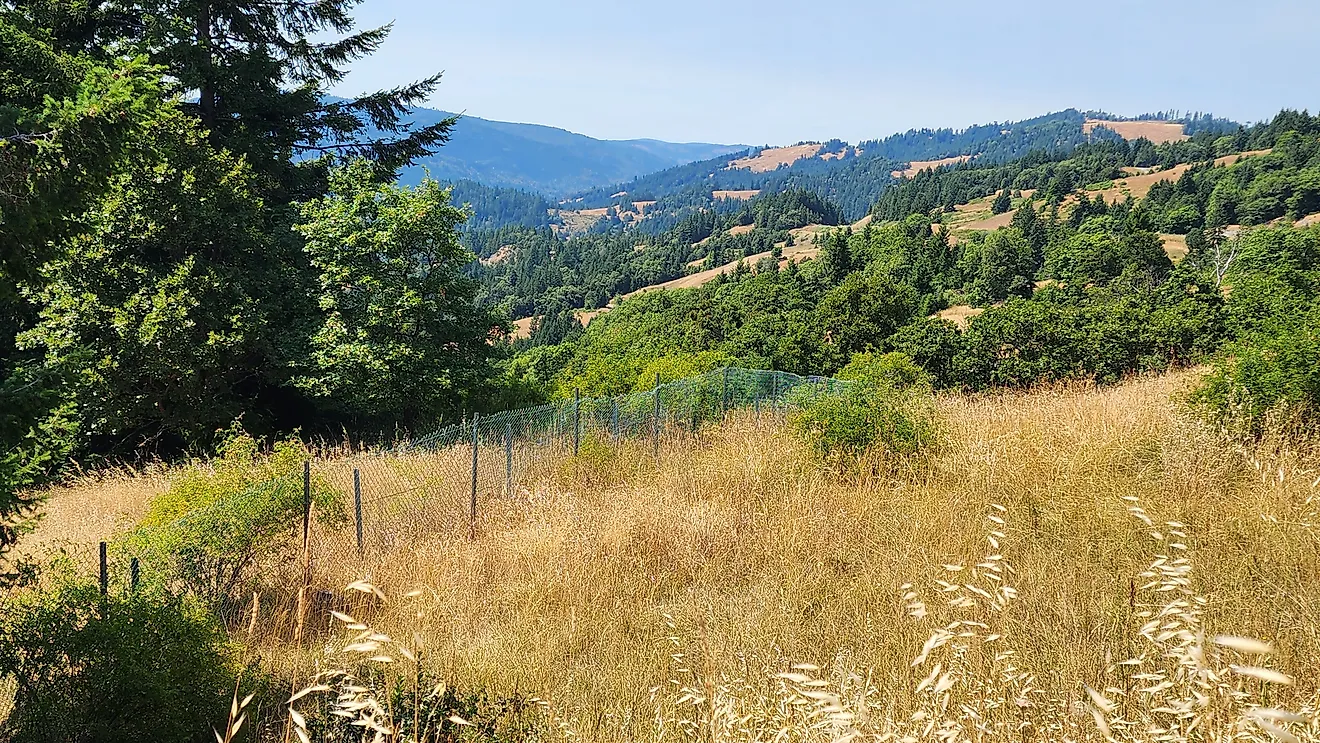 Roadside vista of rolling hills and forest lands of Humboldt County, California. 