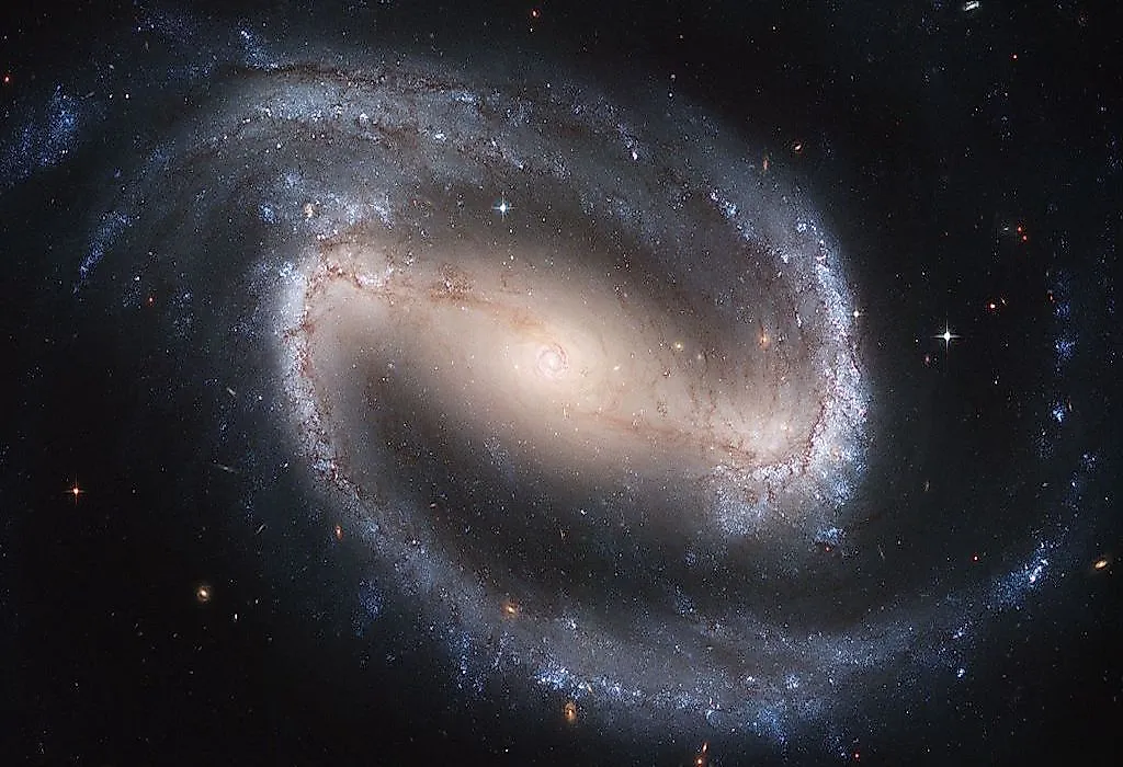 parts of a barred spiral galaxy