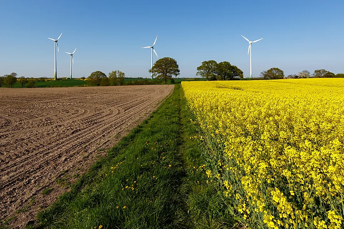 Sustainable farming maximizes productivity while reducing environmental destruction.