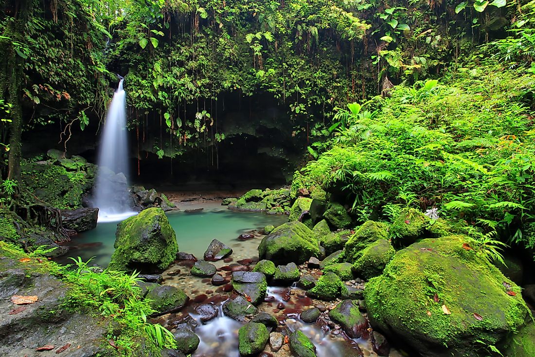 A waterfall in Dominica. 