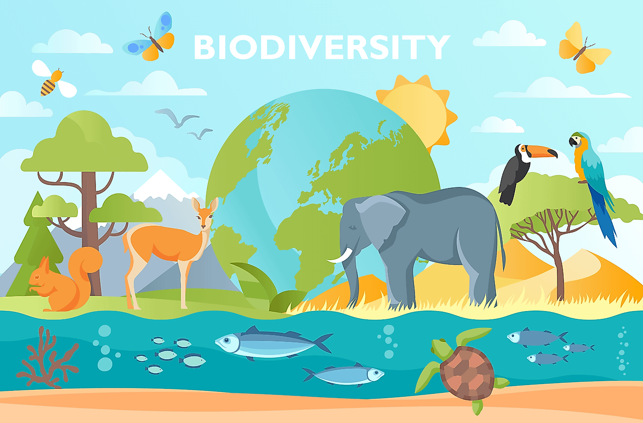 Biodiversity