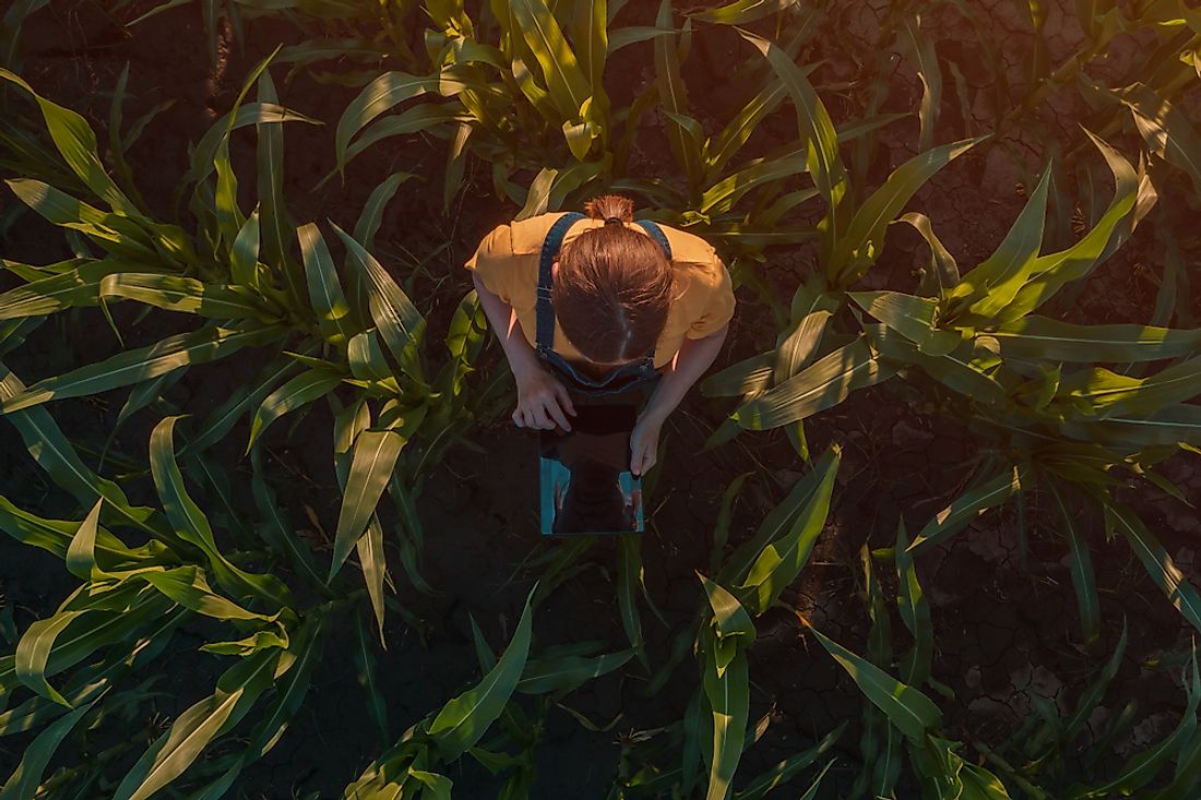 Agronomy is concerned with plant production.