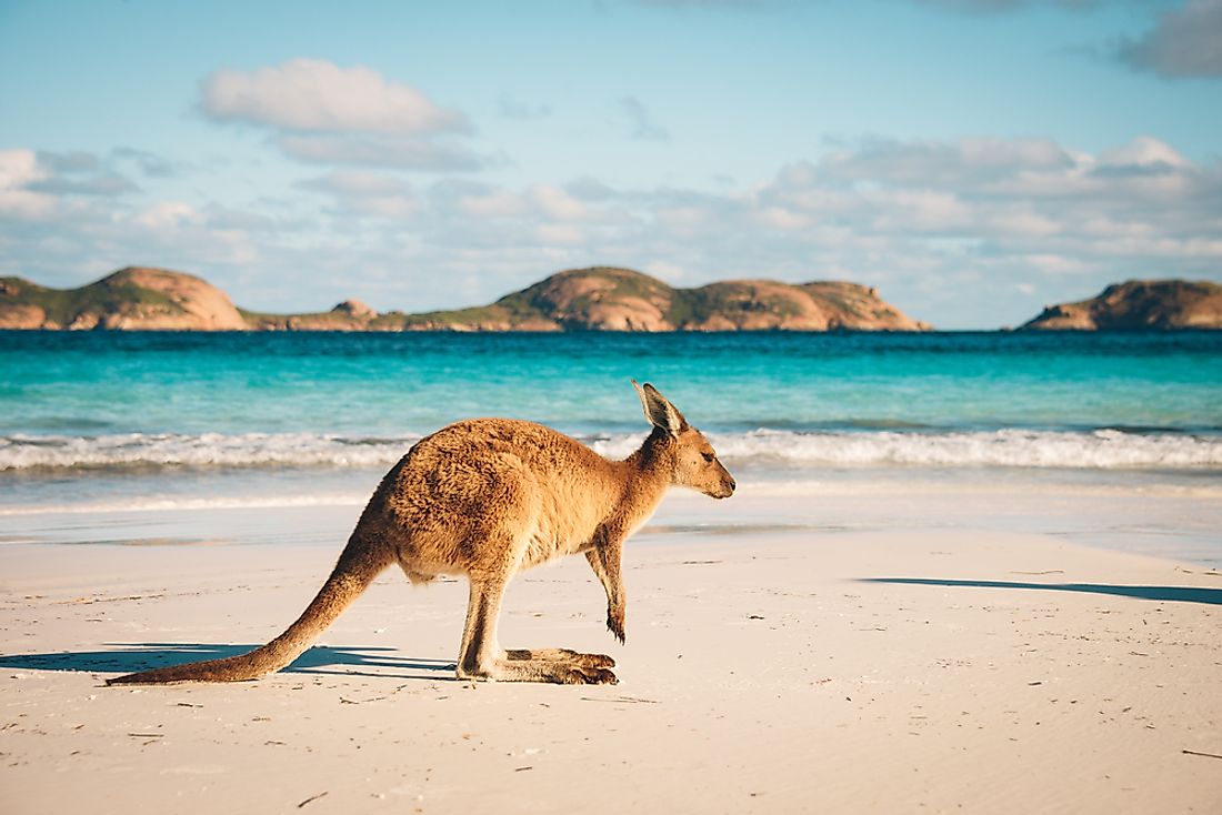 Due to its isolation and southernly location, Australia is often known as "down under". 