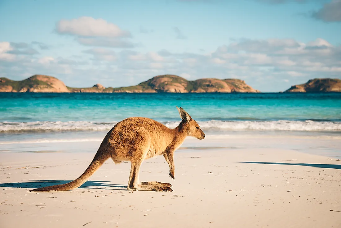 Due to its isolation and southernly location, Australia is often known as "down under".