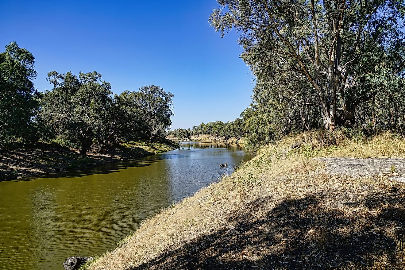 The Darling River in New South Wales.